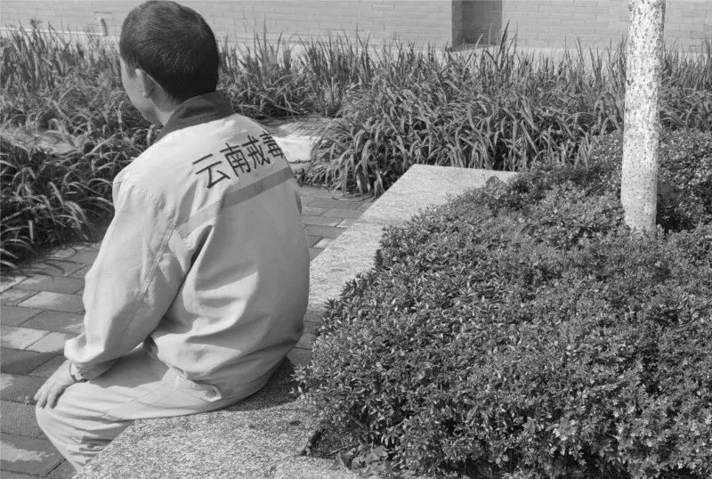 从毒渊到新生